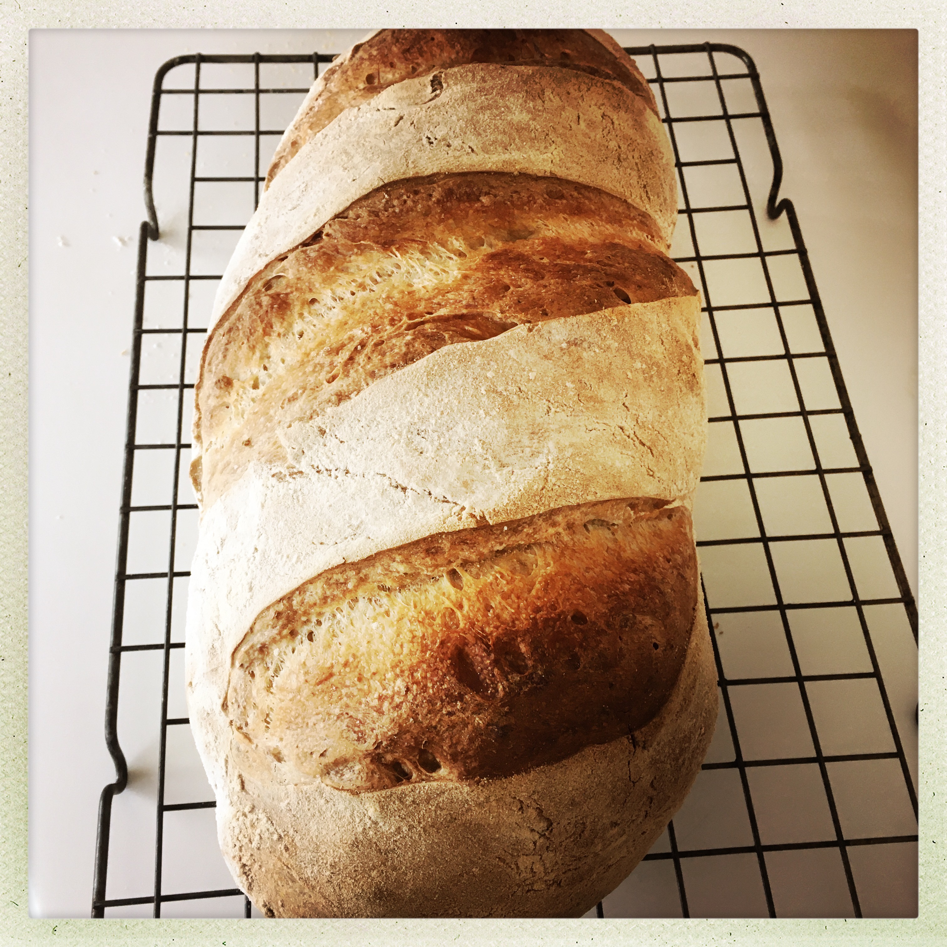 hipstamaticphoto-608024196.859590